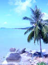 Bankai Orchid Resort 